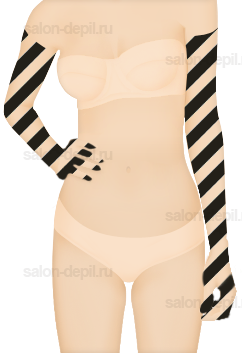 ���� ���������