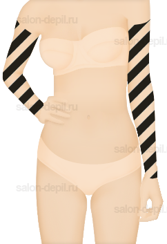 ���� ���������