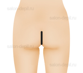 ������������� �������