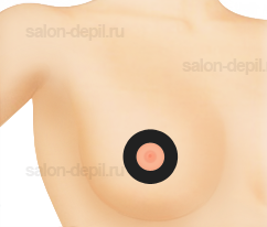 ������ ������