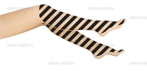 ���� �� ����� + ������